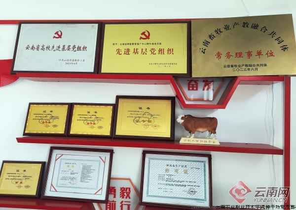 云南省种畜繁育推广中心种牛场荣誉墙 陈晨 摄.png