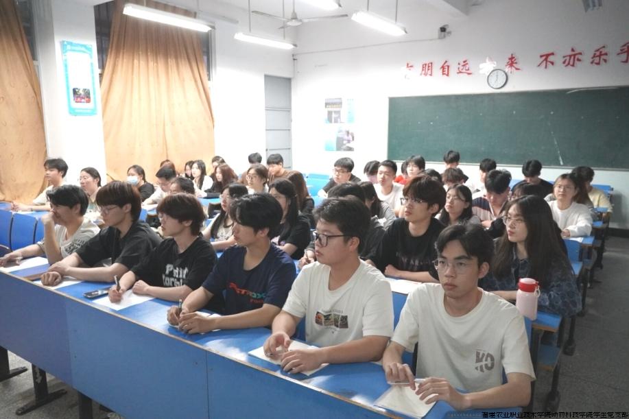 青马1.jpg 青马1.jpg