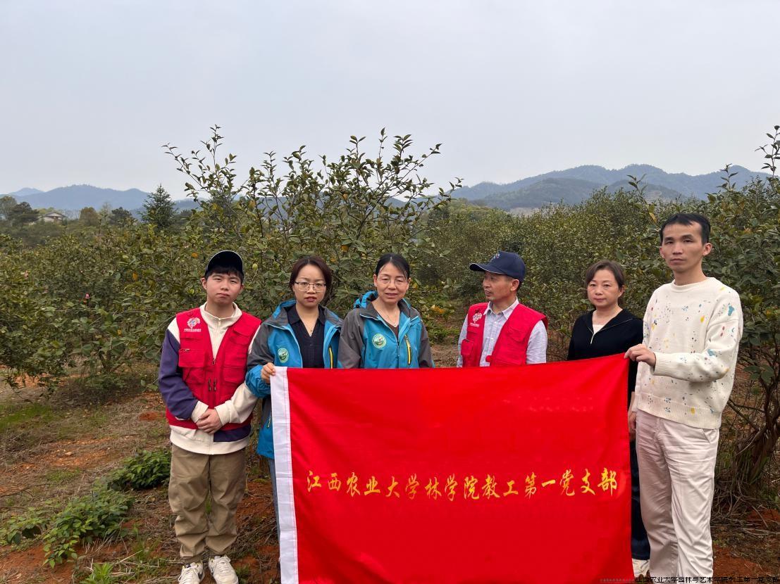 宜春科技服务 0328-1.jpg