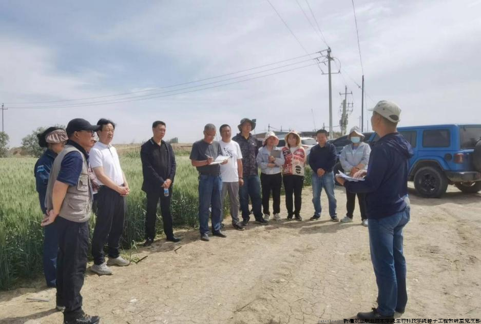 图片1 小麦高质量发展中期鉴评活动现场.png