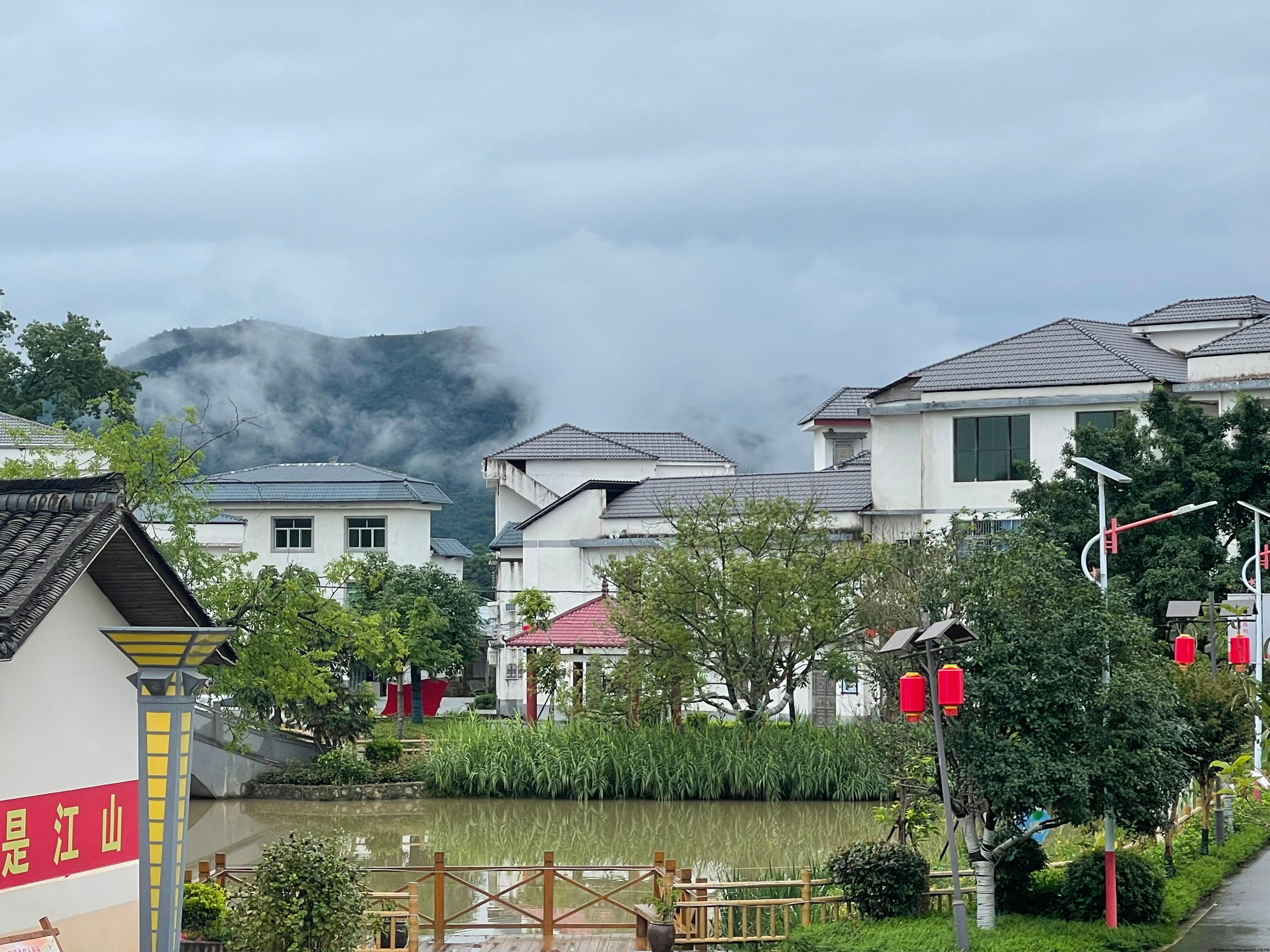 IMG_5937.HEIC.JPG IMG_5937.HEIC.JPG