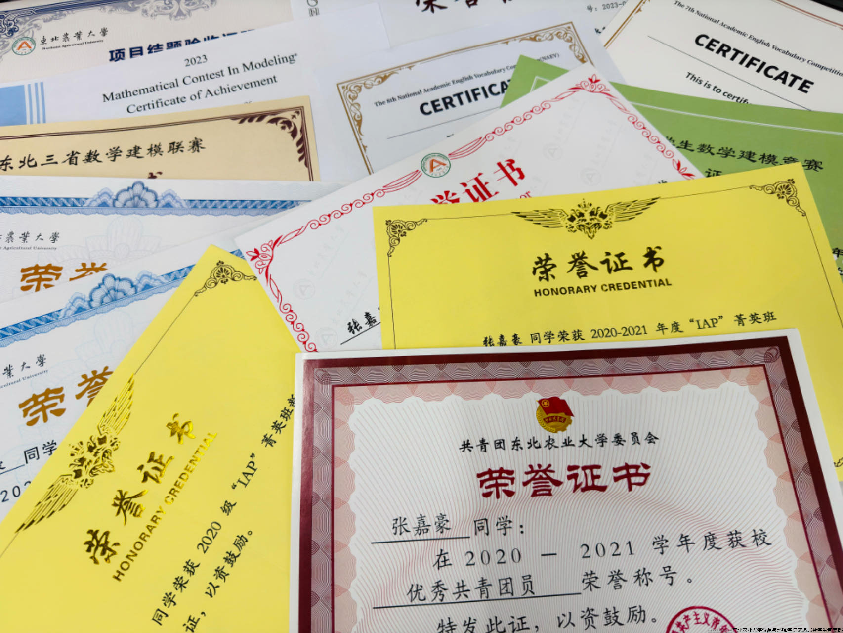 图片9.png 图片9.png