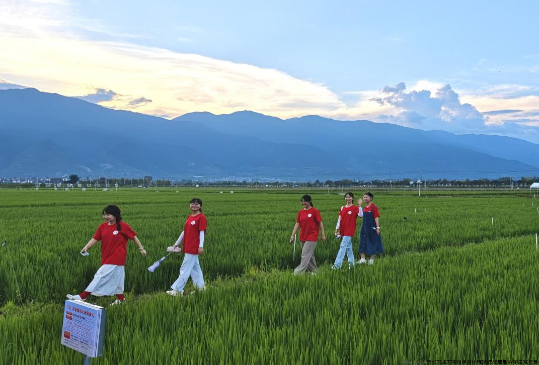 图片11.png 图片11.png