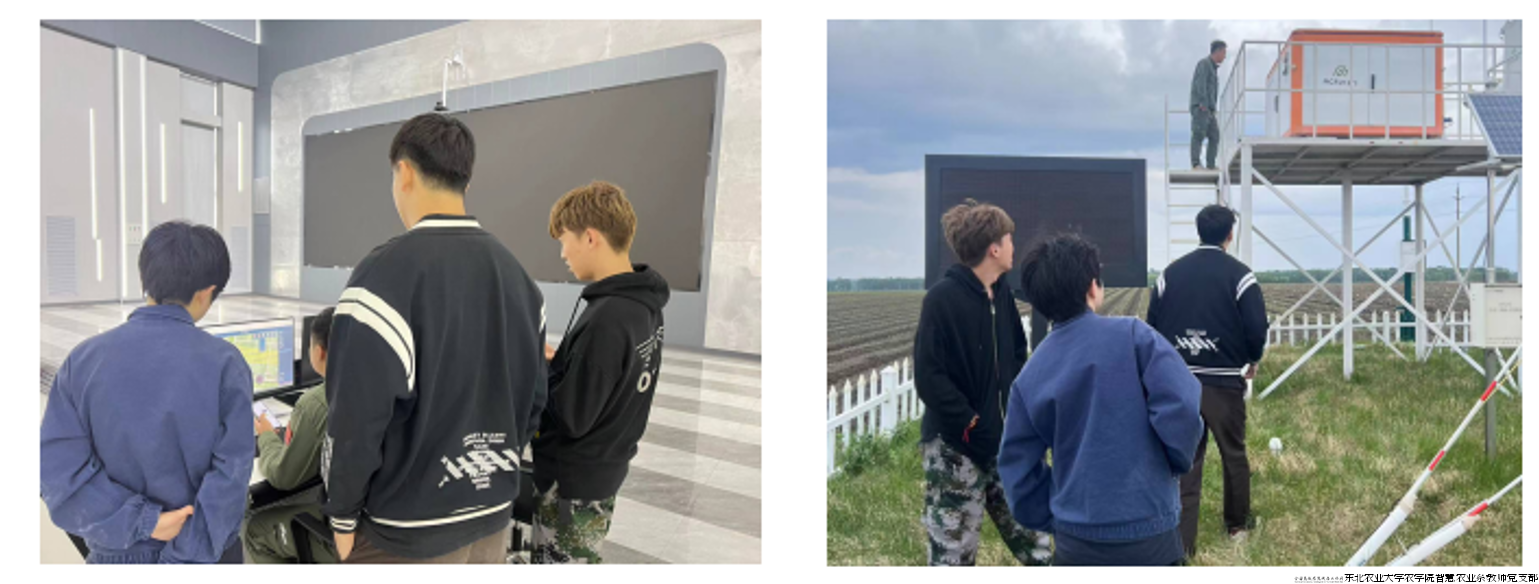 实习6.png 实习6.png