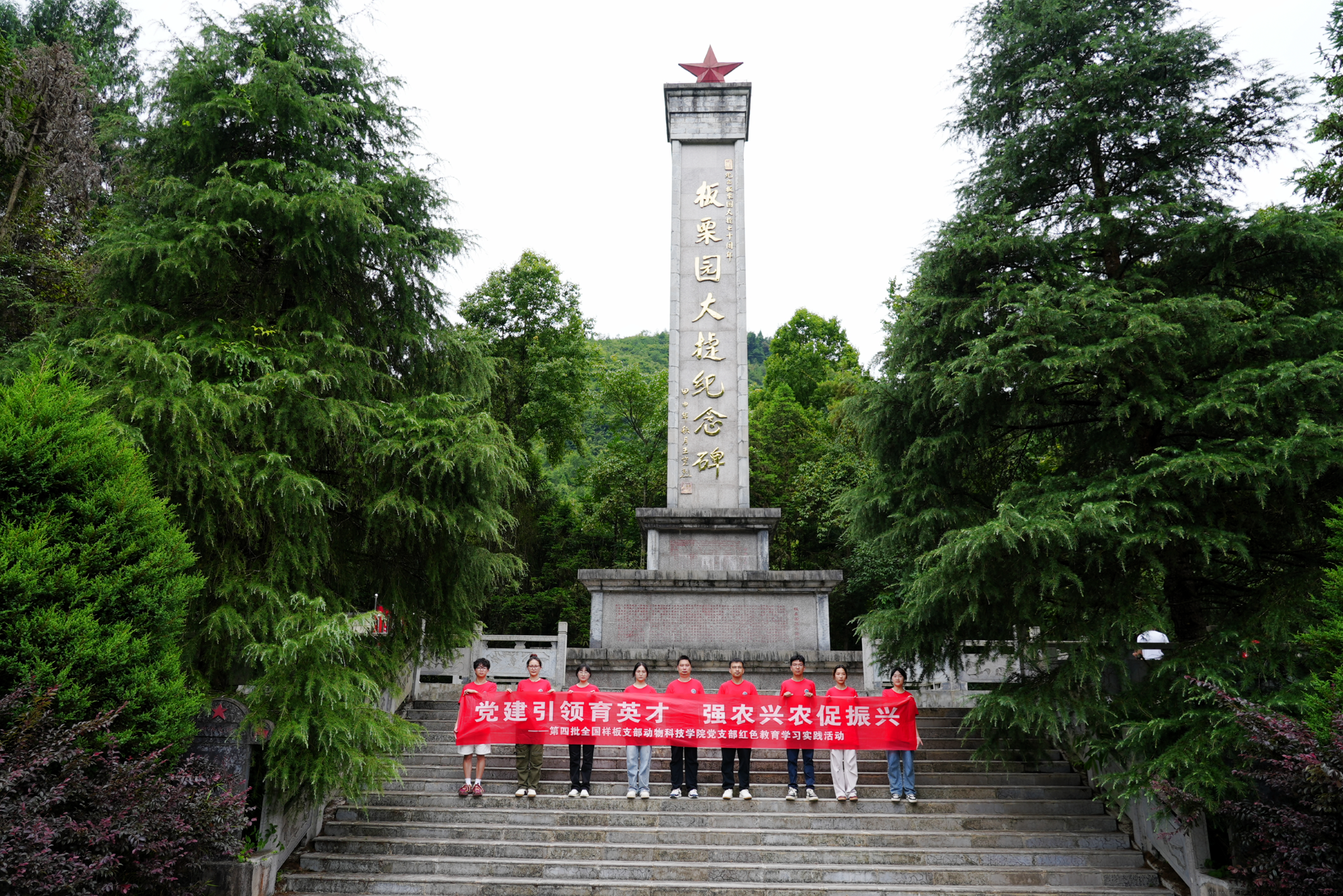 图片1.png 图片1.png