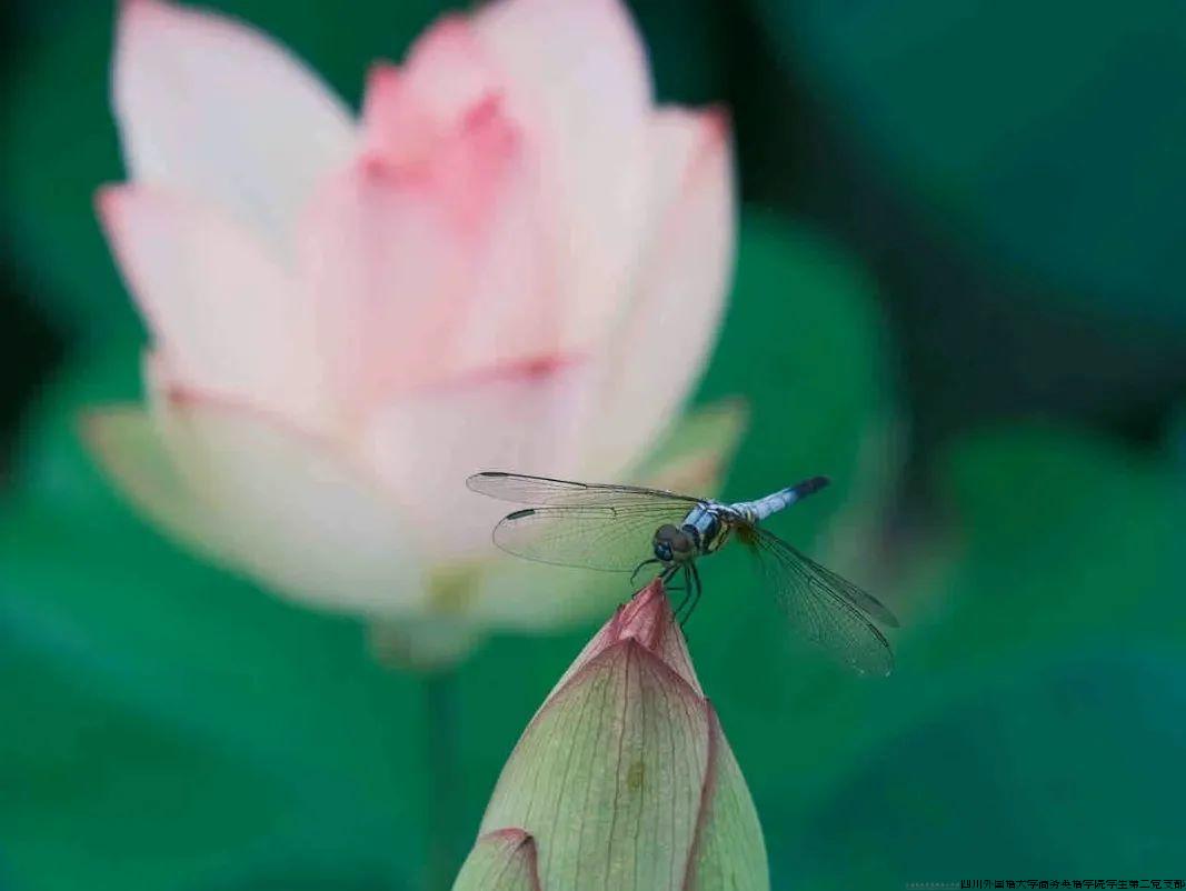 640 (1).jpg 640 (1).jpg