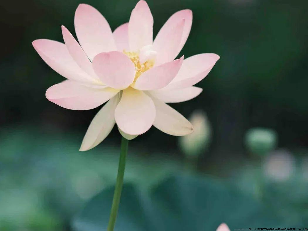 640 (2).jpg 640 (2).jpg