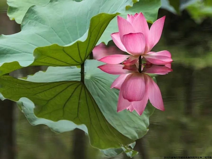 640 (3).jpg 640 (3).jpg