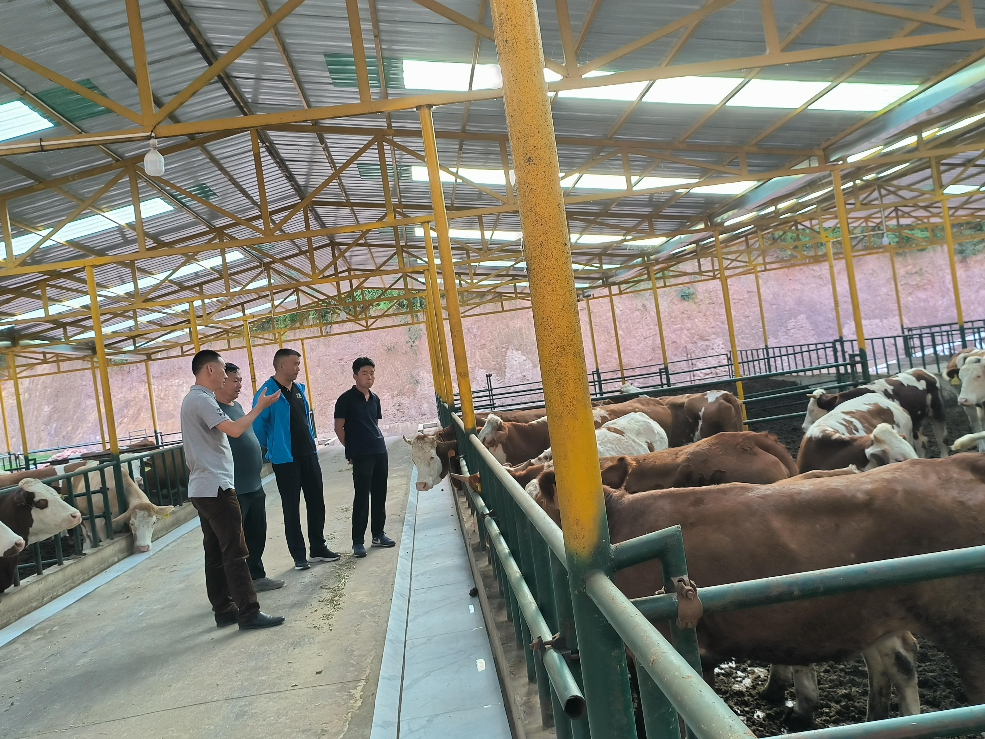 在大理永平县永平博雁农牧科技有限公司进行实地检查和调研（一）.jpg