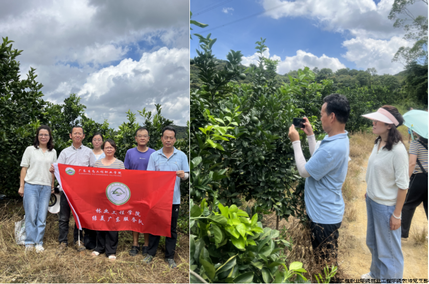 图片2.png 图片2.png