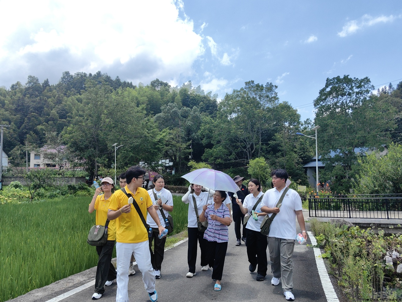 图片 11.png 图片 11.png