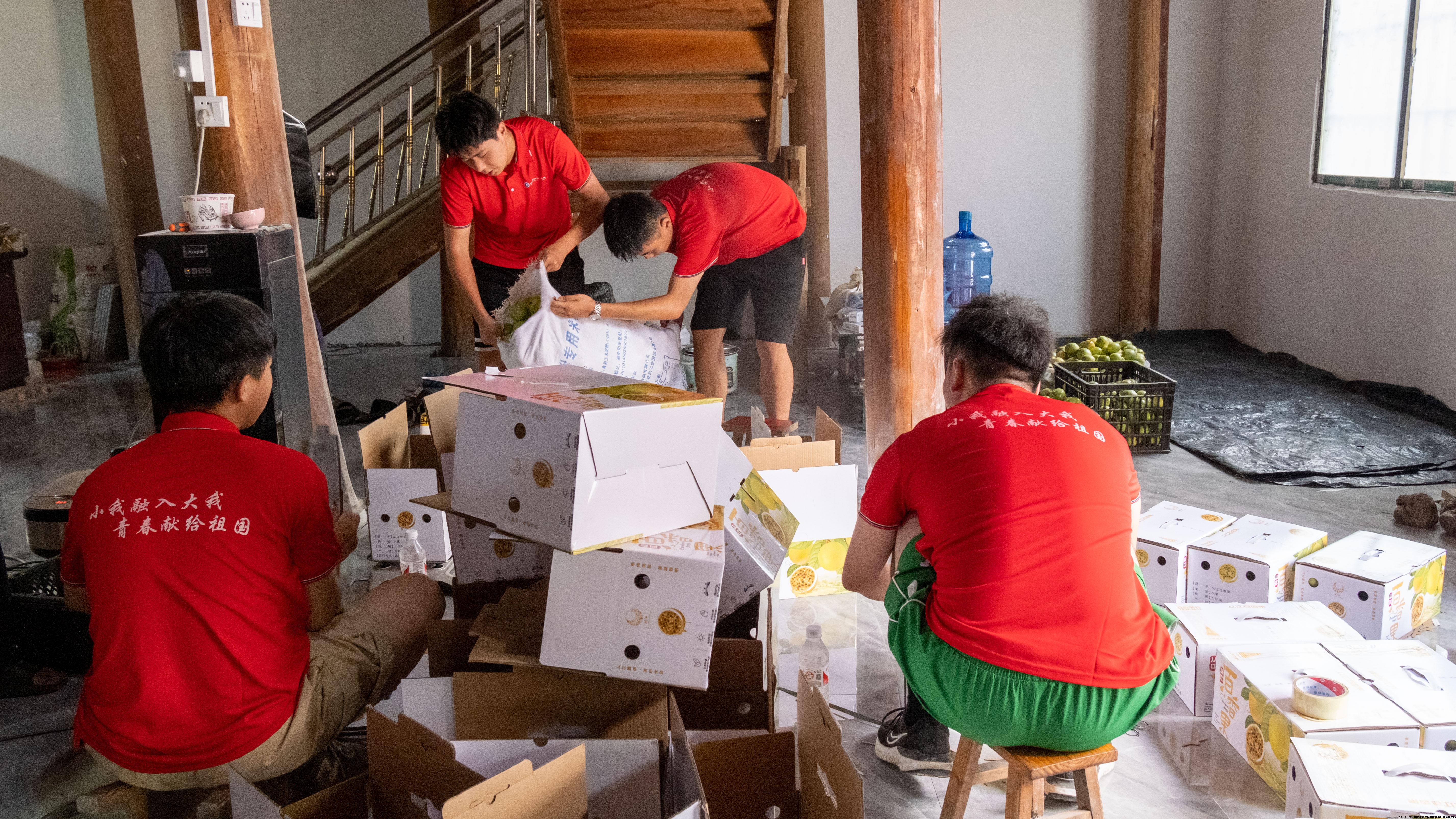 图为挑选打包百香果