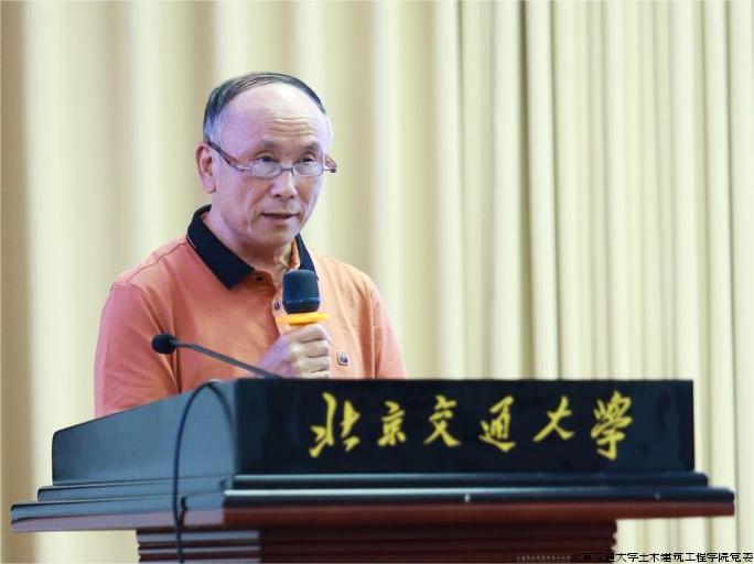杨松林教授发言.jpg