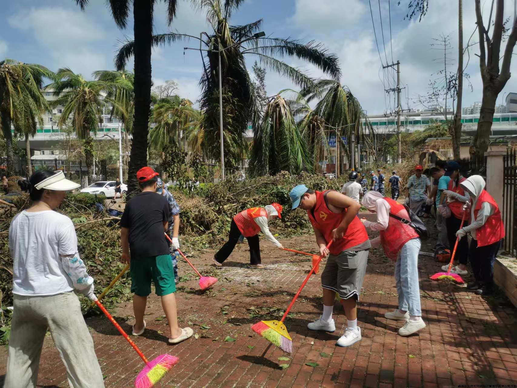 经管学院第三党支部党员和海秀社区党支部党员一起清扫路面.jpg