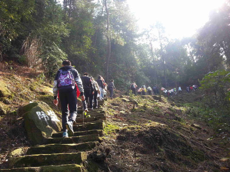 xcVD_1727342296701090297.png 图片4.png