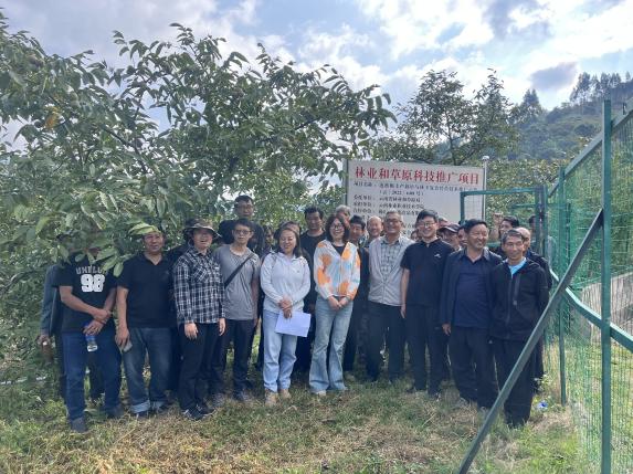 615fcdf3ab9f42c499d08d9f9dcaa43f.Jpeg 615fcdf3ab9f42c499d08d9f9dcaa43f.Jpeg