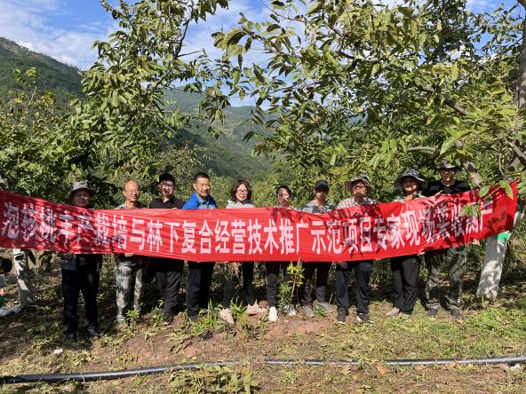 70f0ef763d564ae0a99d5c8b96da80b8.Jpeg 70f0ef763d564ae0a99d5c8b96da80b8.Jpeg