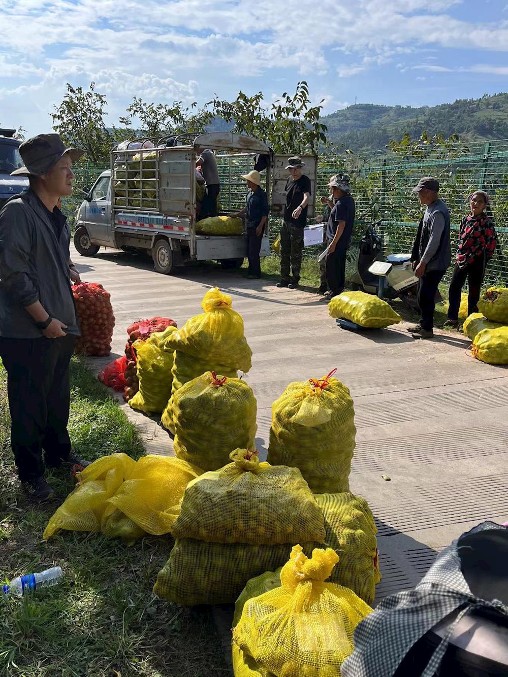 c8bc4ea52c7e42b6a3d5daee37fec0a0.jpg c8bc4ea52c7e42b6a3d5daee37fec0a0.jpg