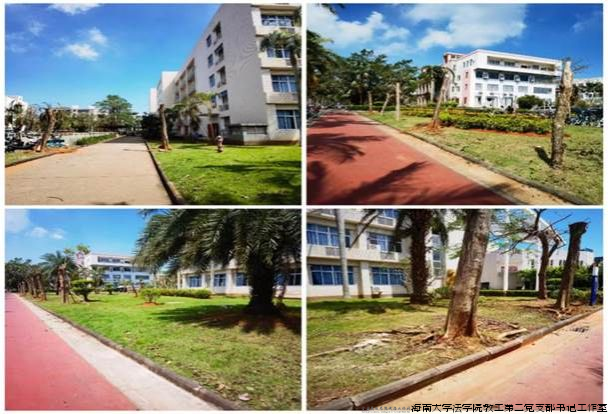 20240910图片1.png 20240910图片1.png