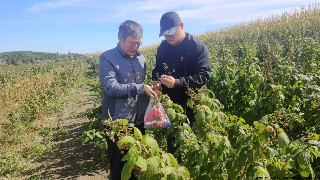 图片2.png 图片2.png