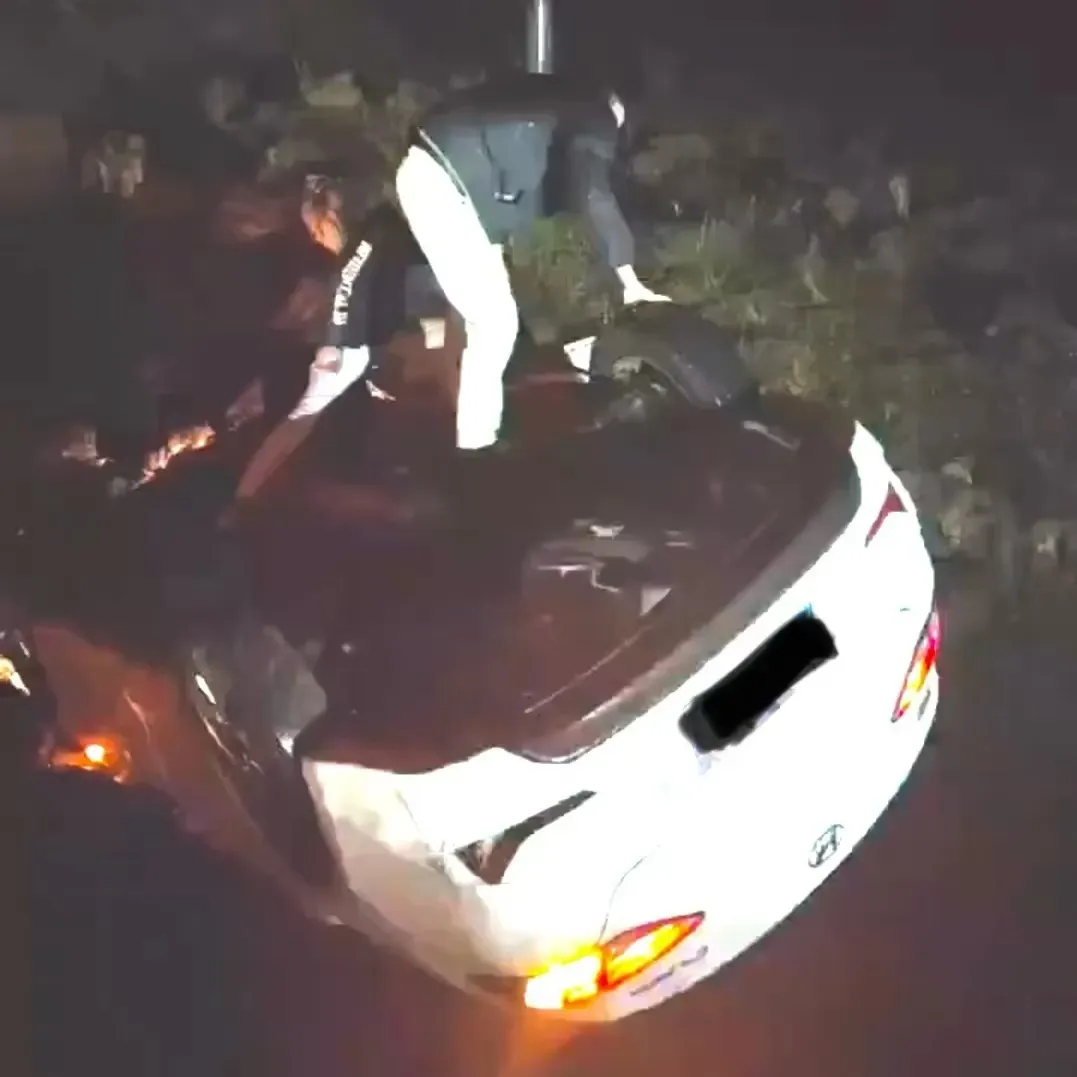 苏星瑜.jpg 苏星瑜.jpg