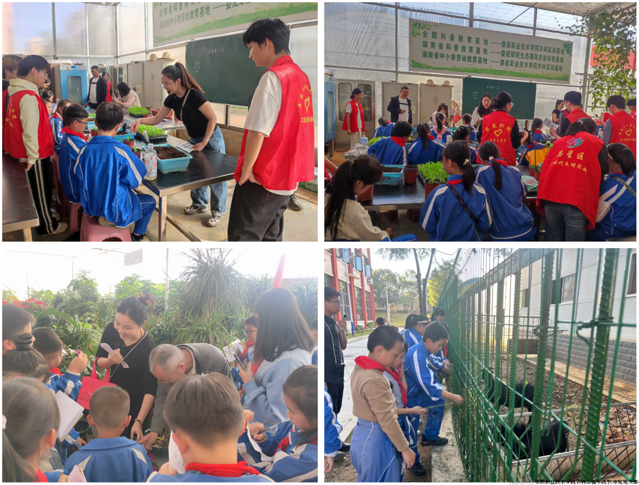 10.25(2).png 10.25(2).png