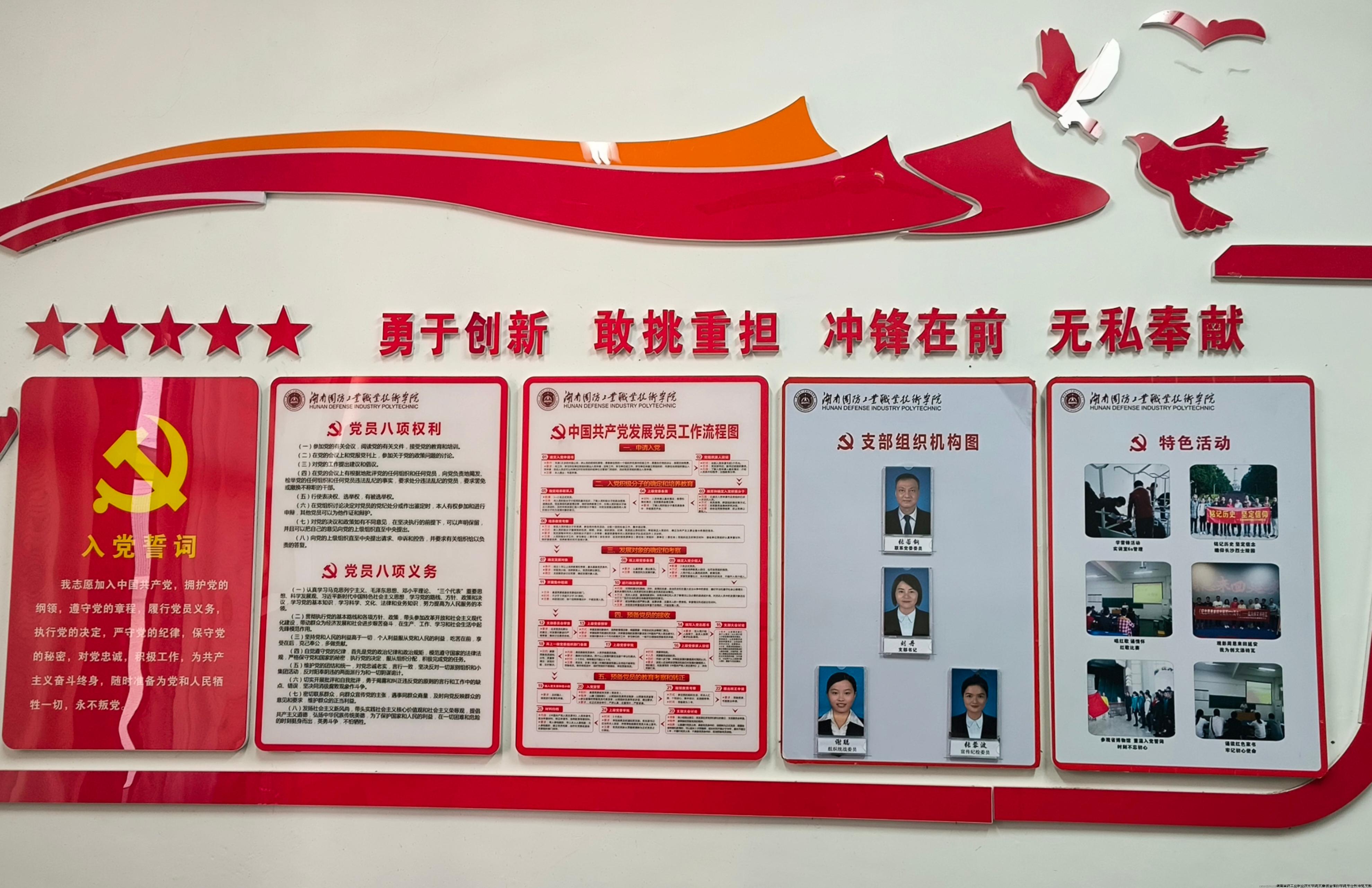 支部架构、制度、主题党日活动栏