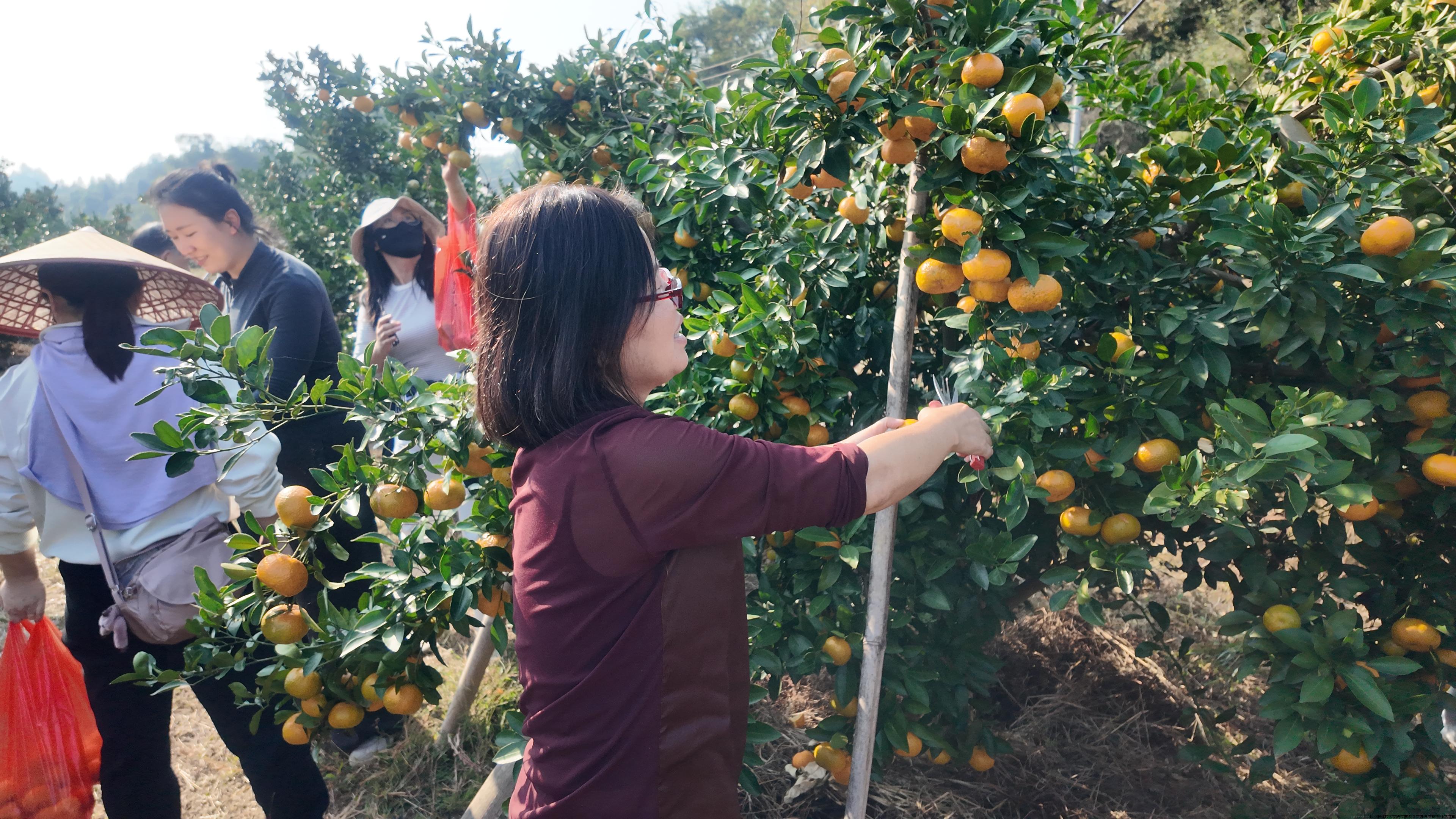 微信图片1.jpg 微信图片1.jpg