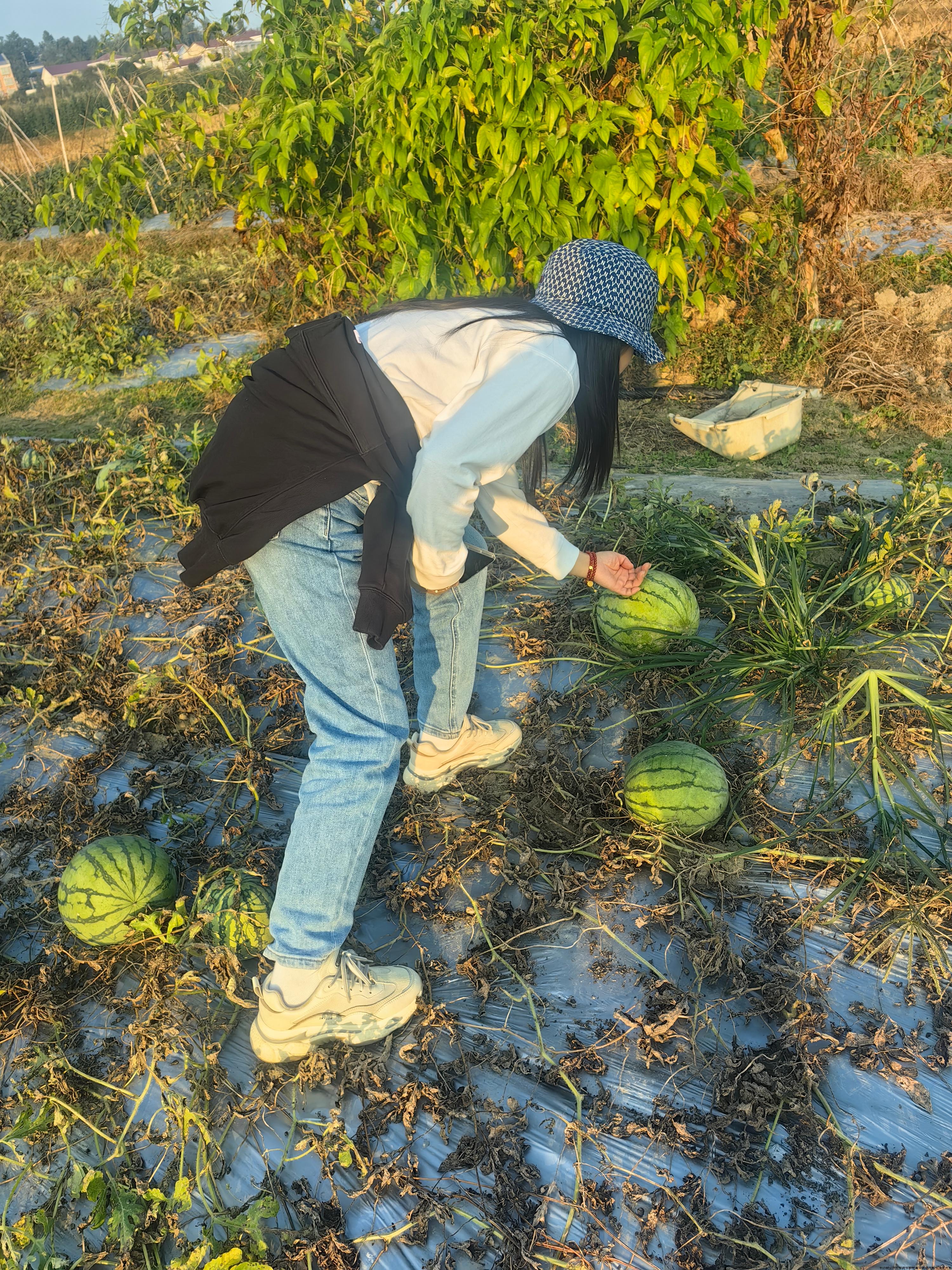 微信图片3.jpg 微信图片3.jpg