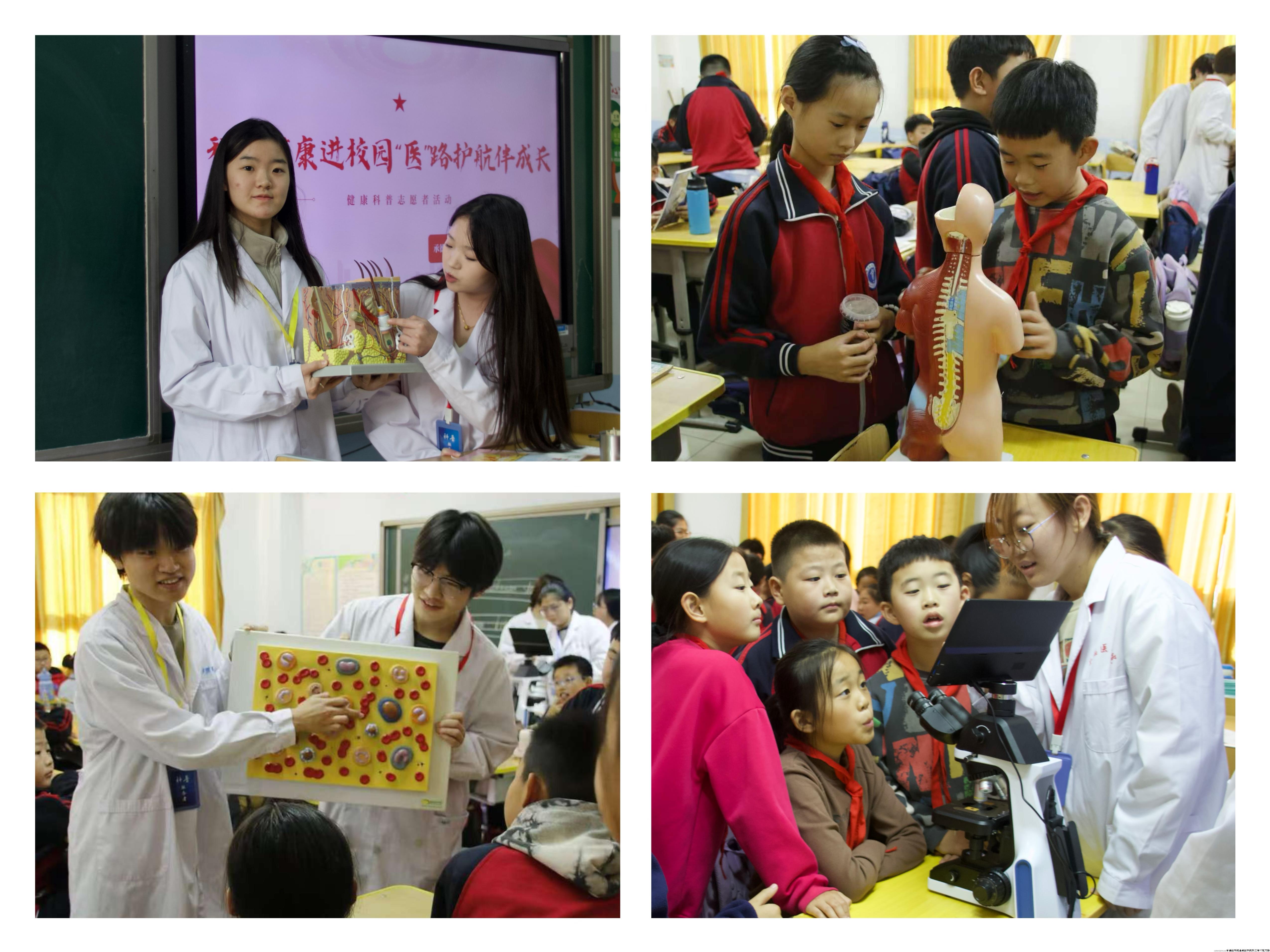 4志愿者讲解医学模型及显微镜使用.jpg