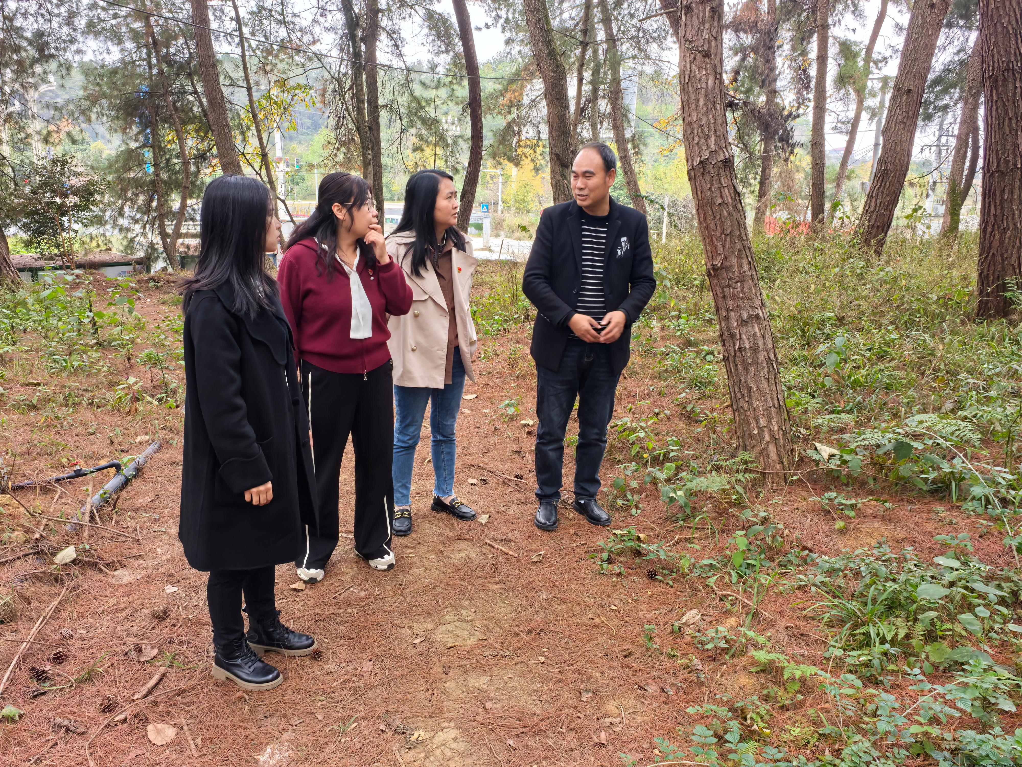 5fb5decab209a777ac6e1936562daa2