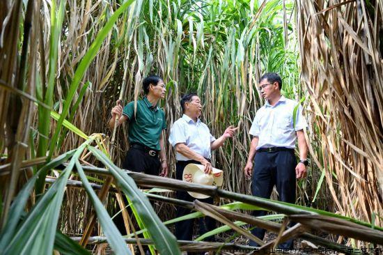 17849346301997461687 17849346301997461687