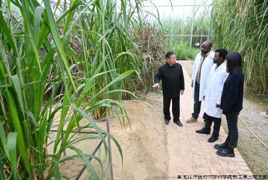 15735431644979343717 15735431644979343717