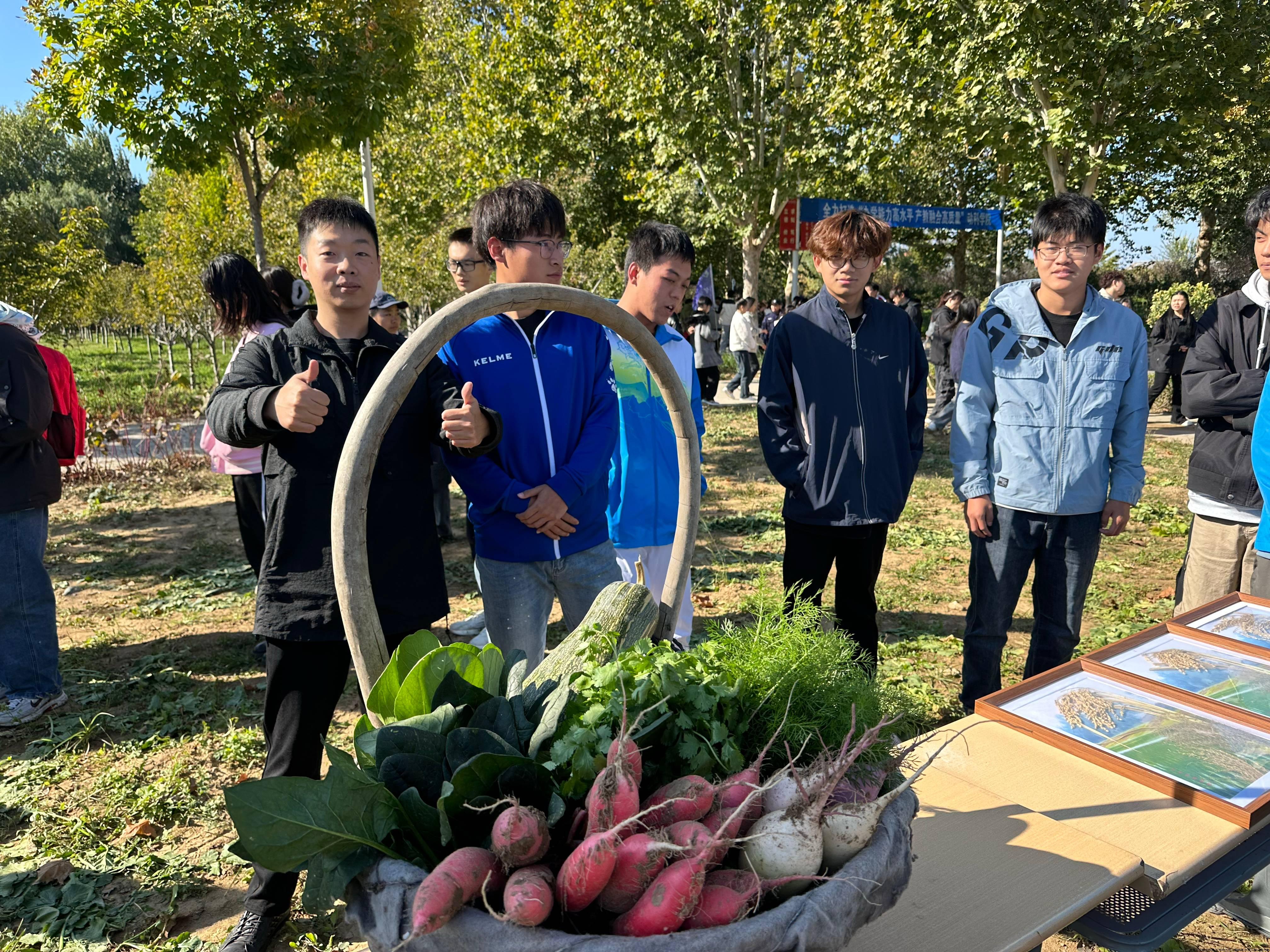 秋收正当时，师生忙收获2(1)