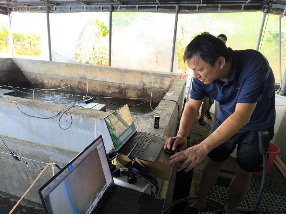 图1 王峰老师调试鱼类标签监控识别设备