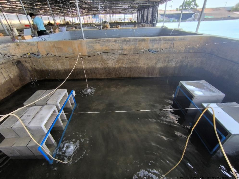 图2 广西精工养殖池布设鱼类PIT标签识别装备