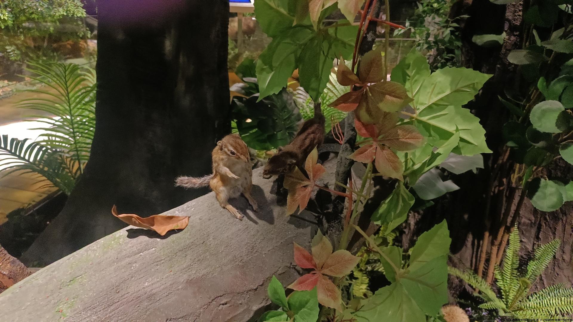 wx_camera_1731311131311