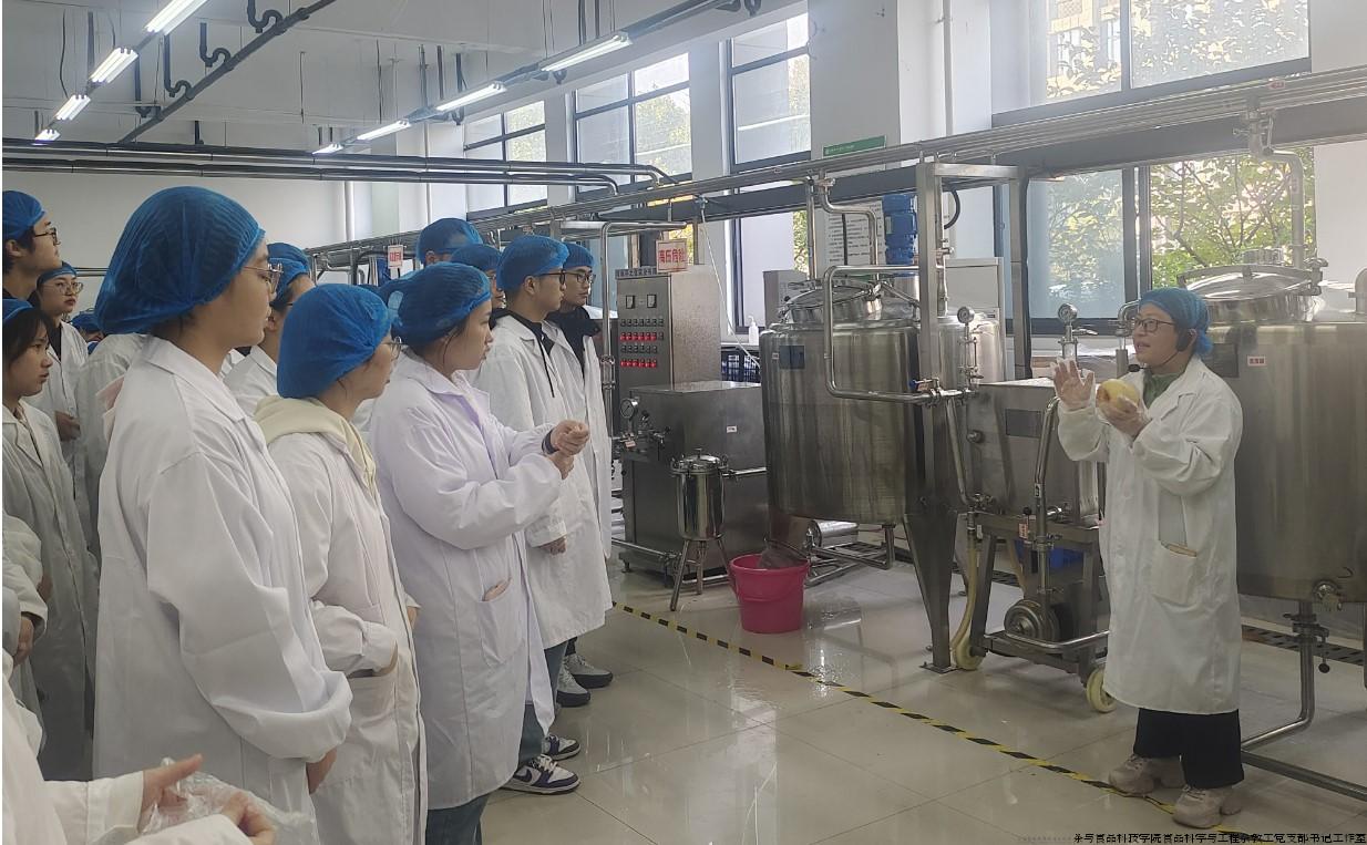 批注 2024-11-13 172234